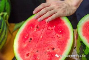 大学吃瓜元年,揭秘校园风云录